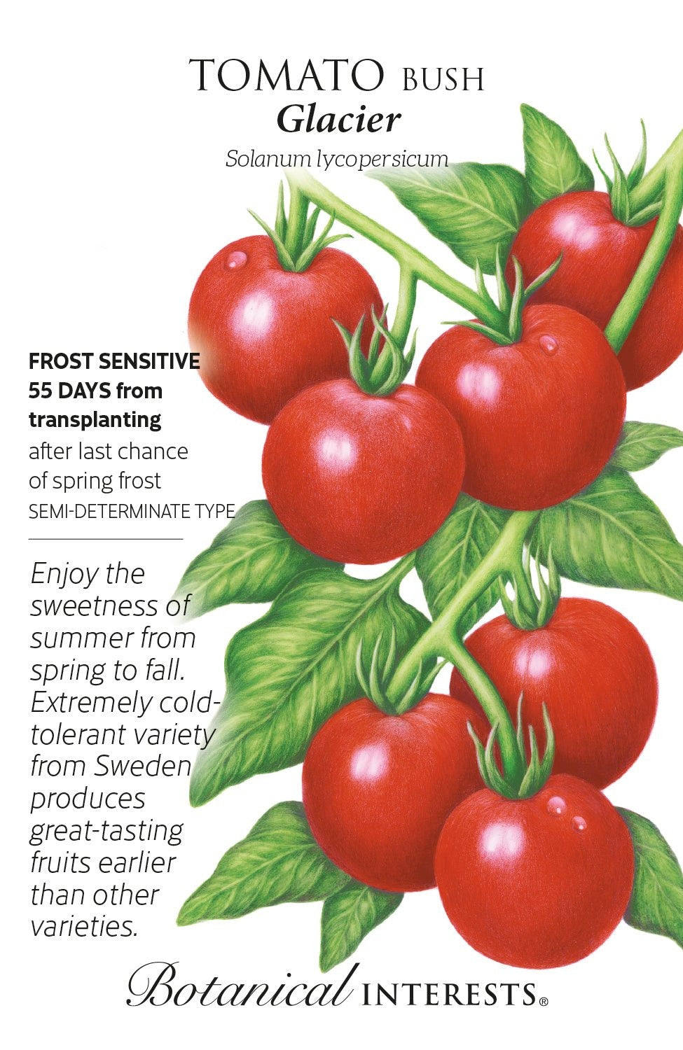 Tomato Bush Glacier