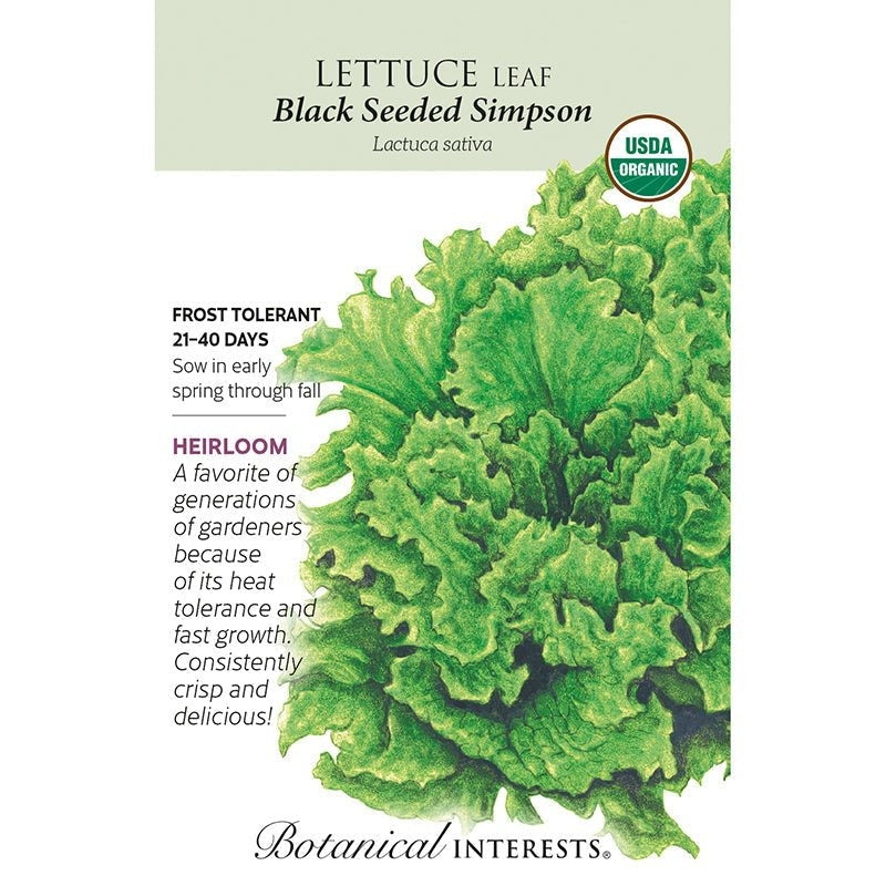 Lettuce Leaf Black Sd Simpson Org
