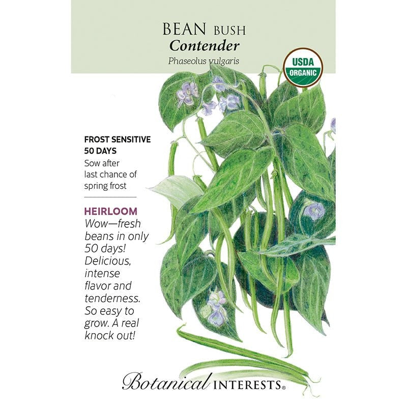 Bean Bush (green) Contender Org
