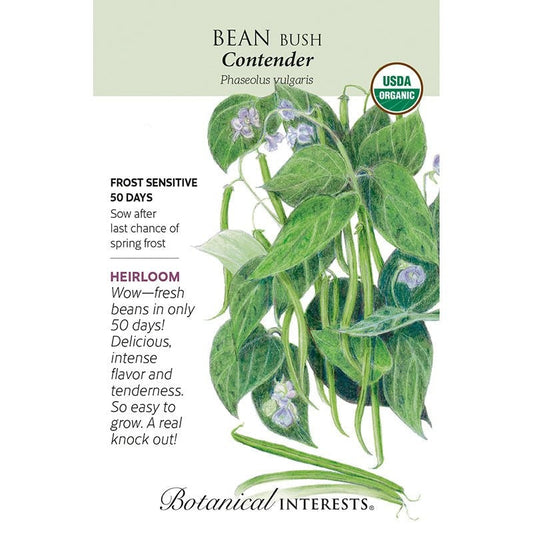 Bean Bush (green) Contender Org