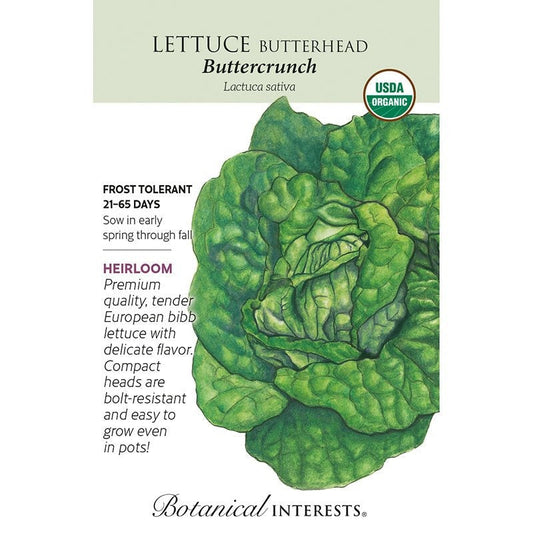 Lettuce Butterhead Buttrcrnch Org