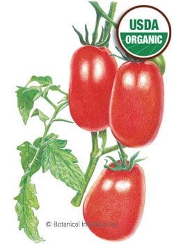 Bountiful Harvest Seed Collection