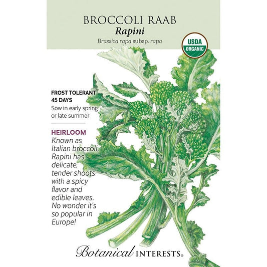 Broccoli Raab Rapini Org